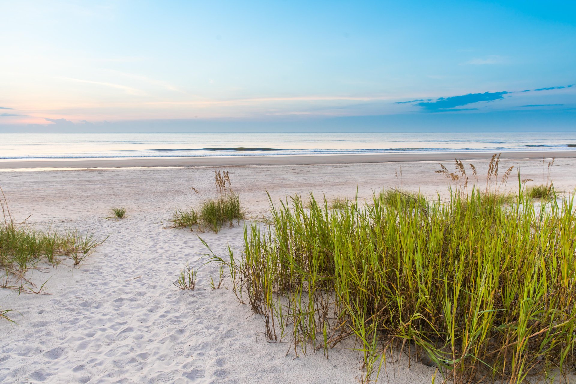 Sandy beach with green dune grass in the foreground, leading to calm ocean waves under a clear blue sky at sunrise or sunset.