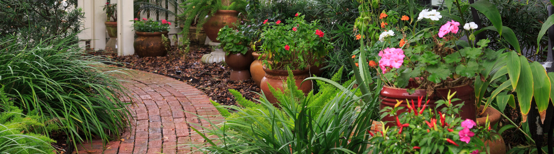 The Addison on Amelia Island flowers