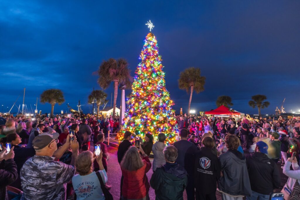 Downtown Tree Lighting