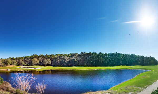 Amelia National Golf lake