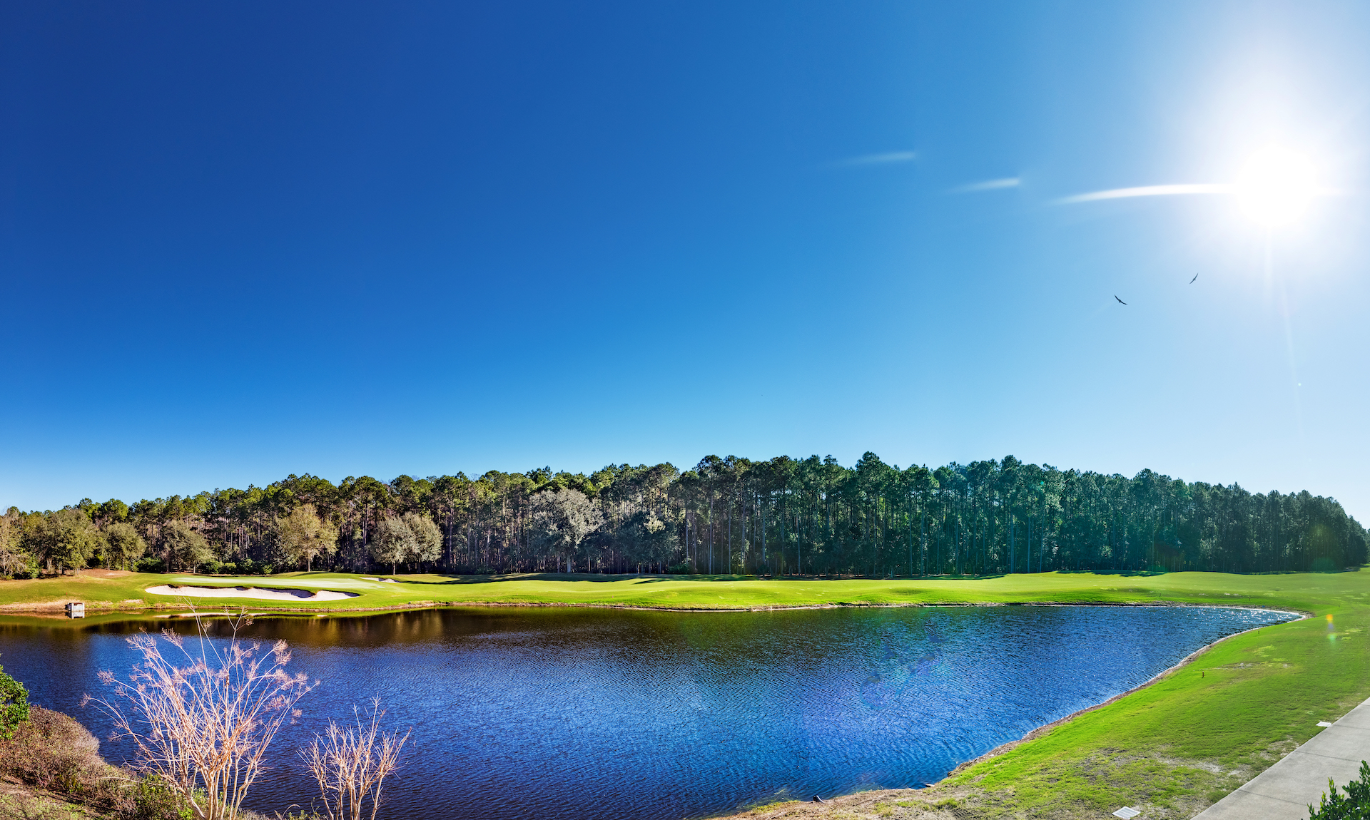 Amelia National Golf lake