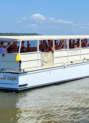 Amelia River Cruises Bald Eagle