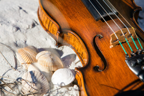 violin on sand with seashells