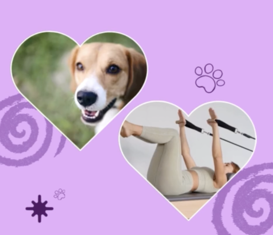 Adoption Event and FREE Pilates Reformer