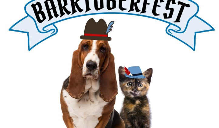 Barktoberfest