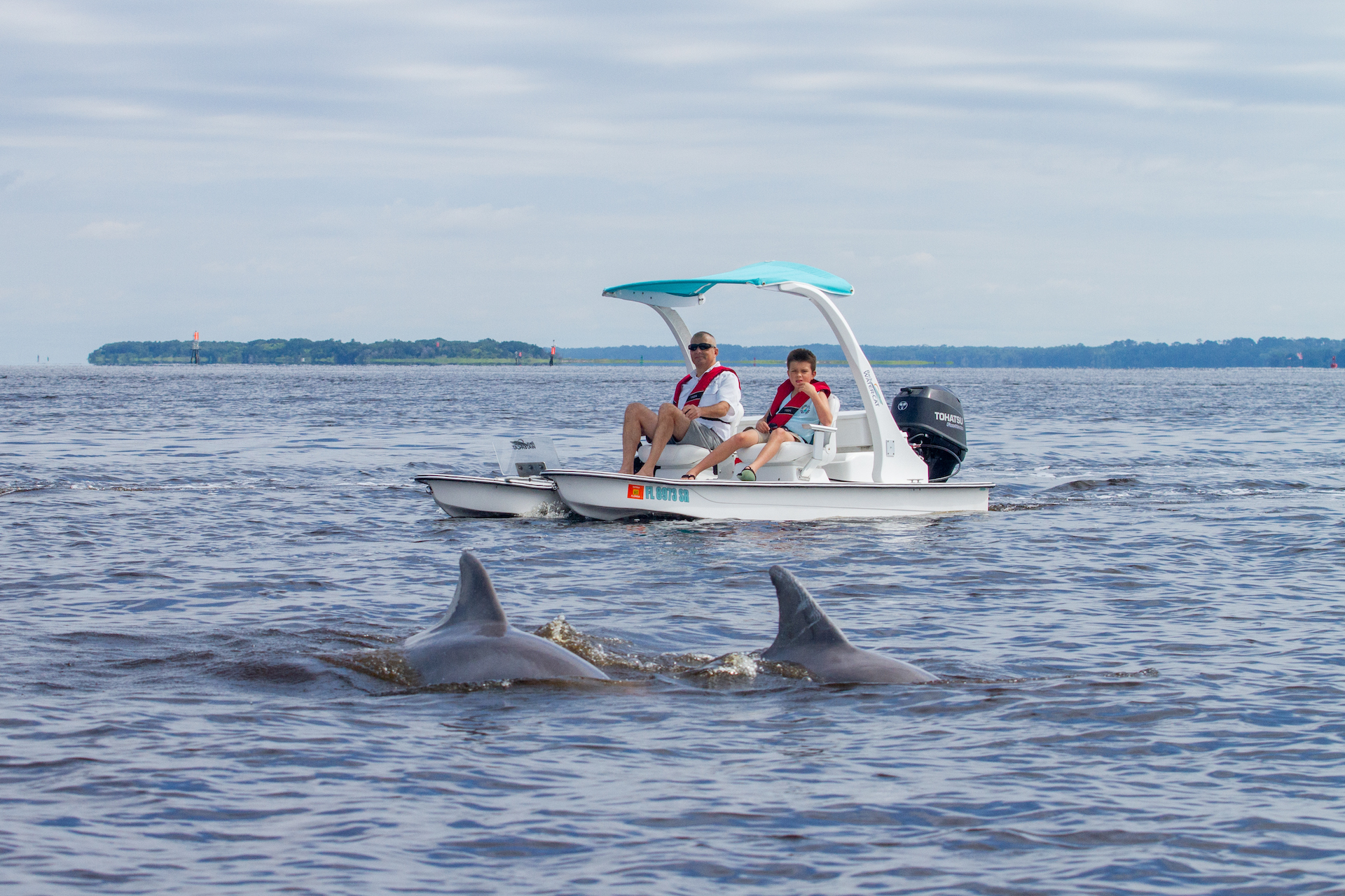 Backwater Cat Adventure dolphins