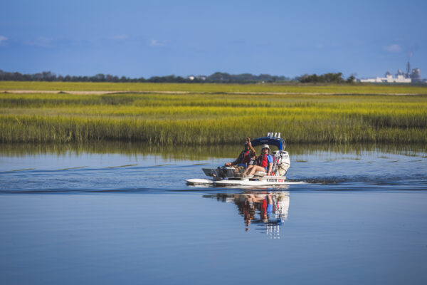 Backwater Cat Adventures
