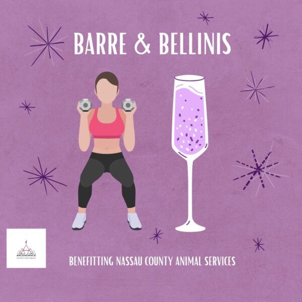Barre & Bellinis Class