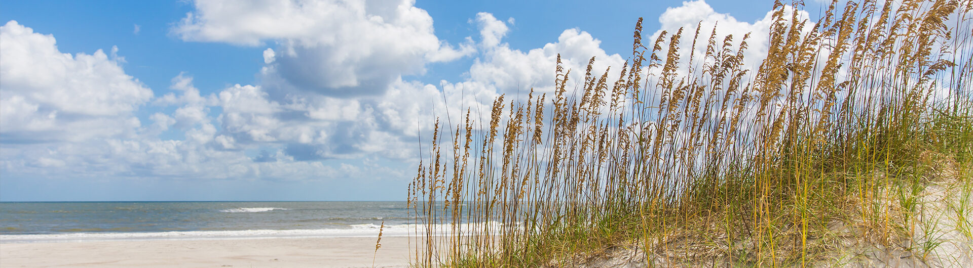 beach dunes