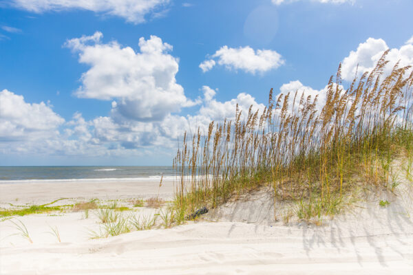 beach dunes