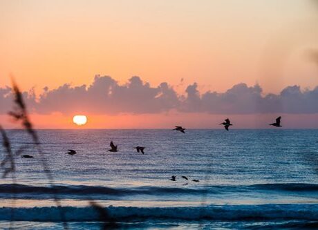 beach sunrise