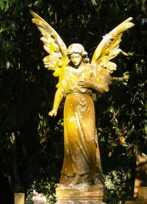 afternoon with angel statue