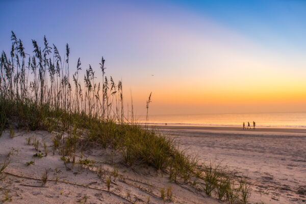 Burney Park beach walk