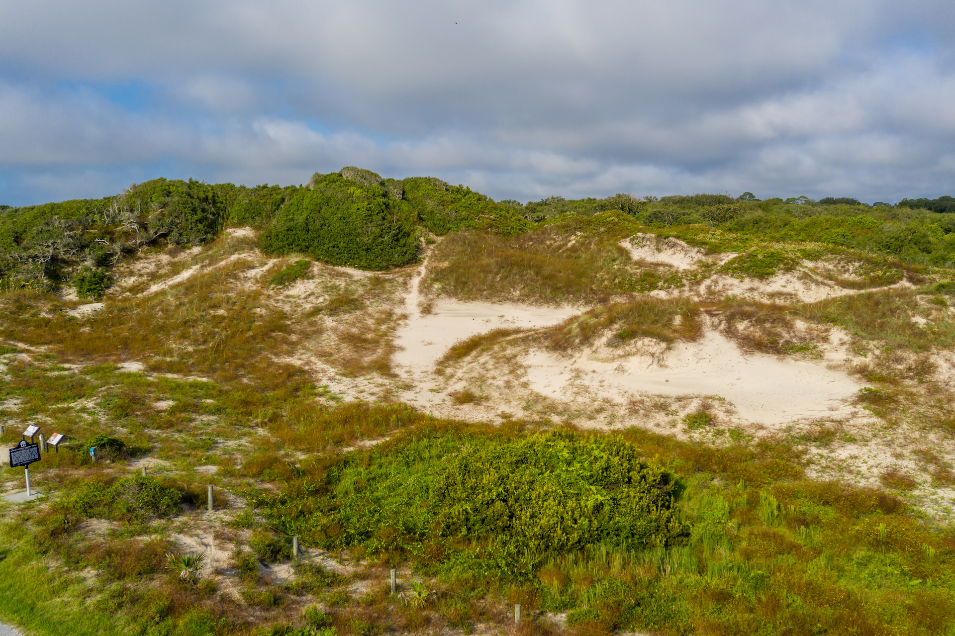 Burney Park dunes