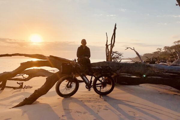 Coast eBike Adventures driftwood