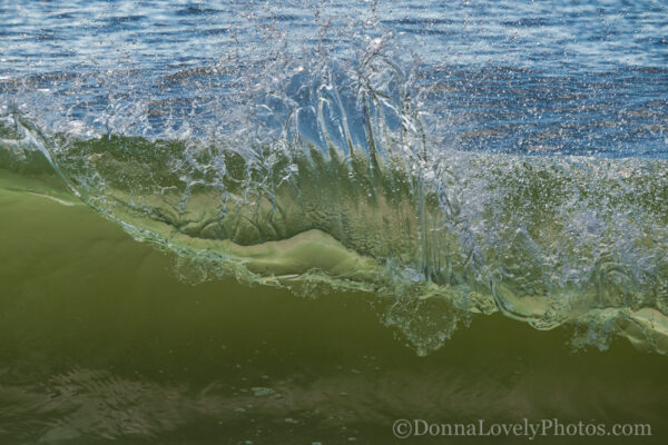 Dancing Waves by DonnaLovelyPhotos.com