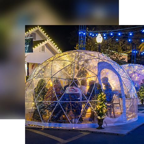 A group of people dine inside a transparent, dome-shaped igloo with string lights, surrounded by small lit trees, outdoors at night.