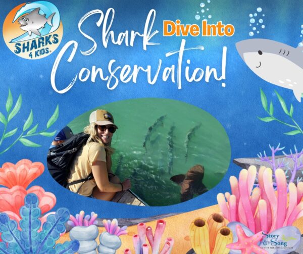 Dive Into Shark Conservation with Sharks4Kids