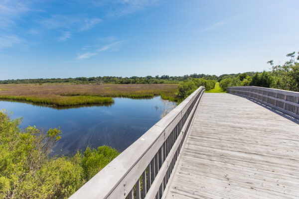 Egans Creek wooden boardwalk