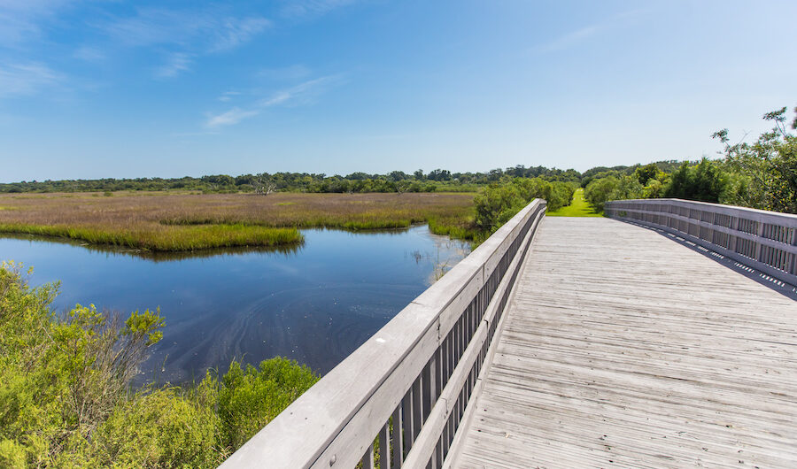 Egans Creek wooden boardwalk