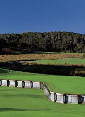 Amelia Island Golf Club green