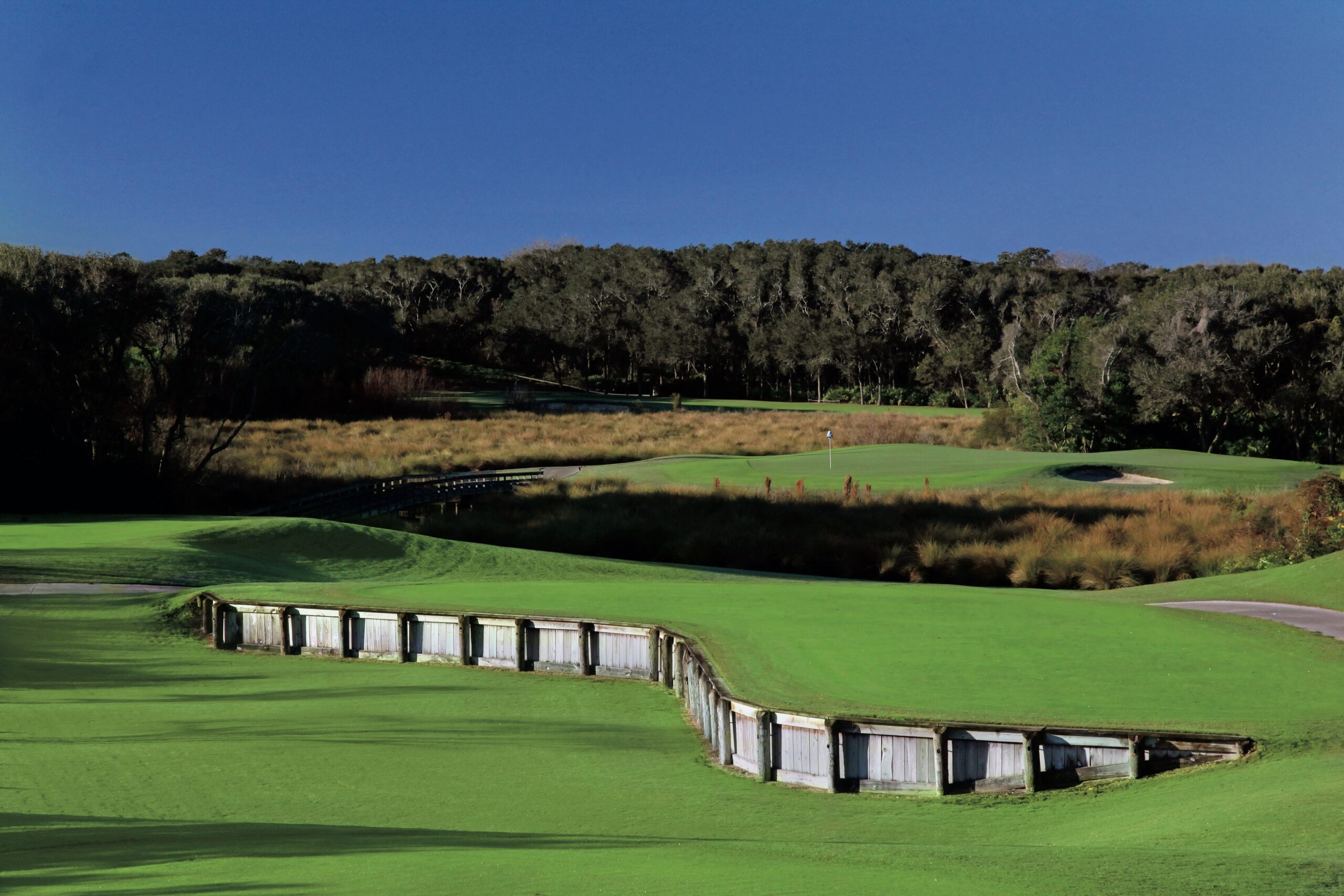 Amelia Island Golf Club green