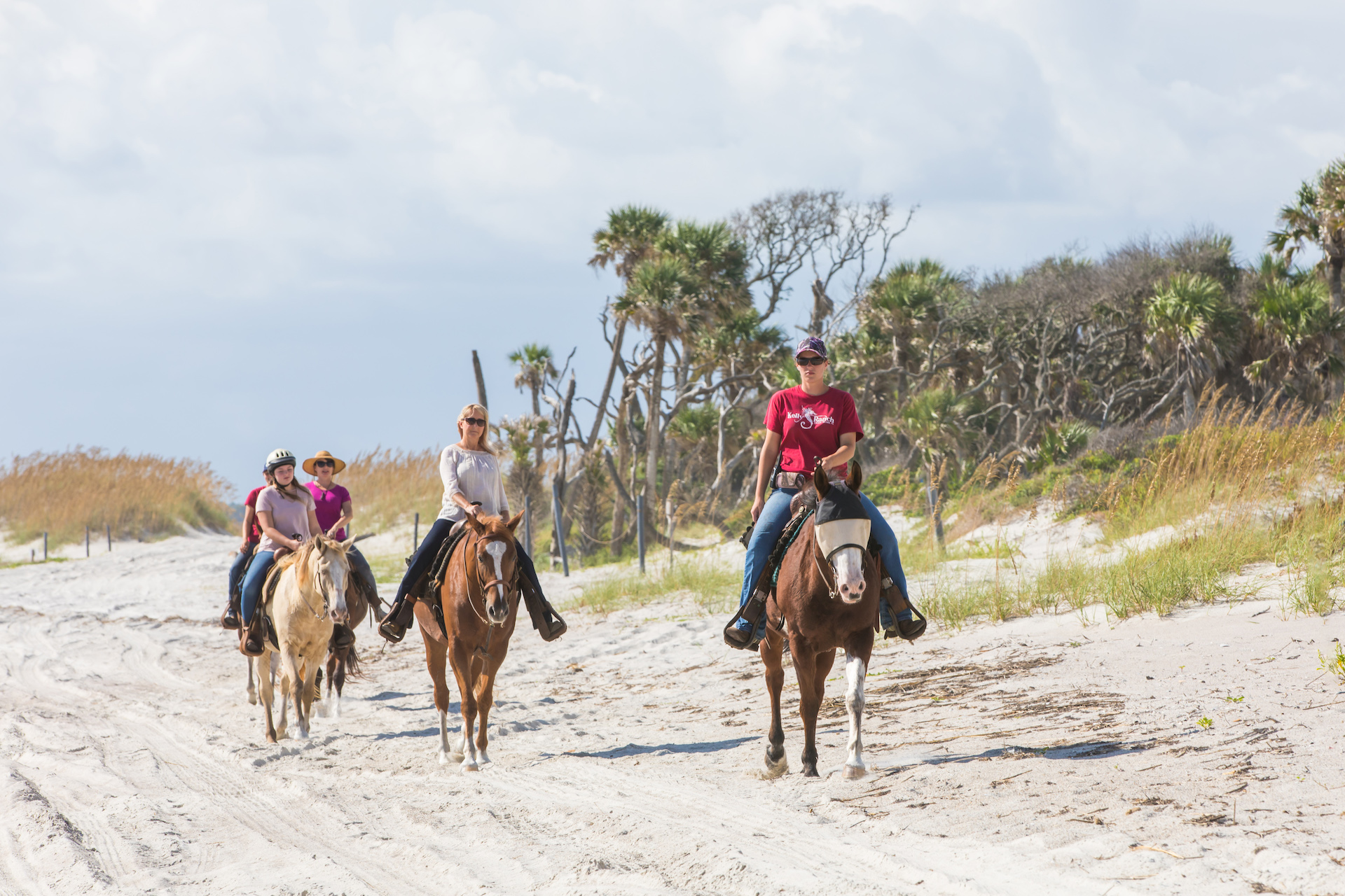 Happy Trails Walking Horses