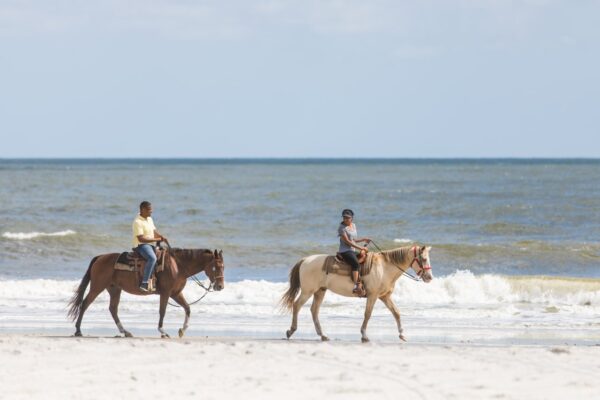 10 Cool & Unusual Things To Do On Amelia Island