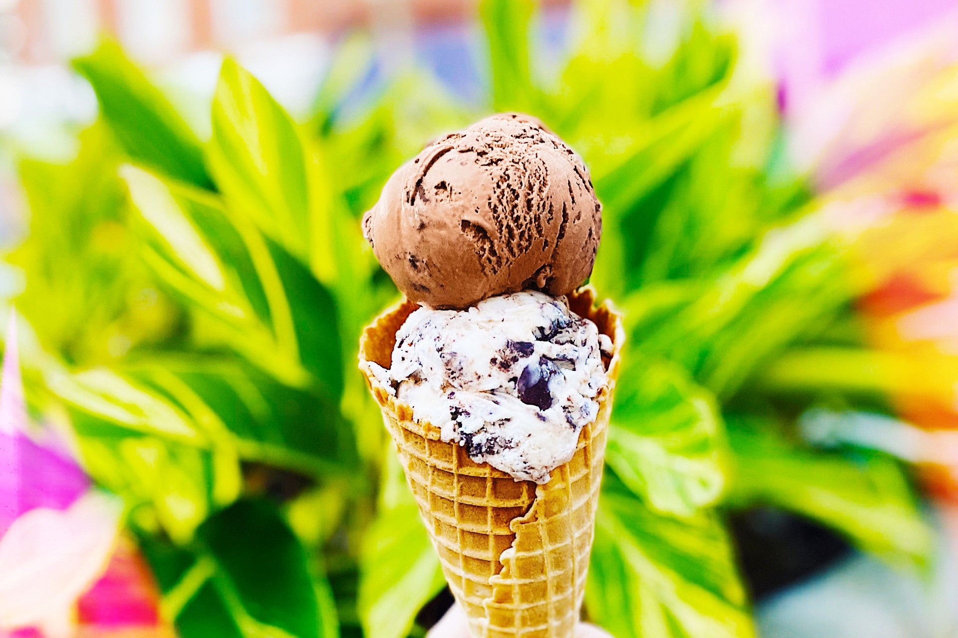 Island Time Frozen Yogurt cone