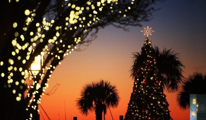 Christmas tree at sunset