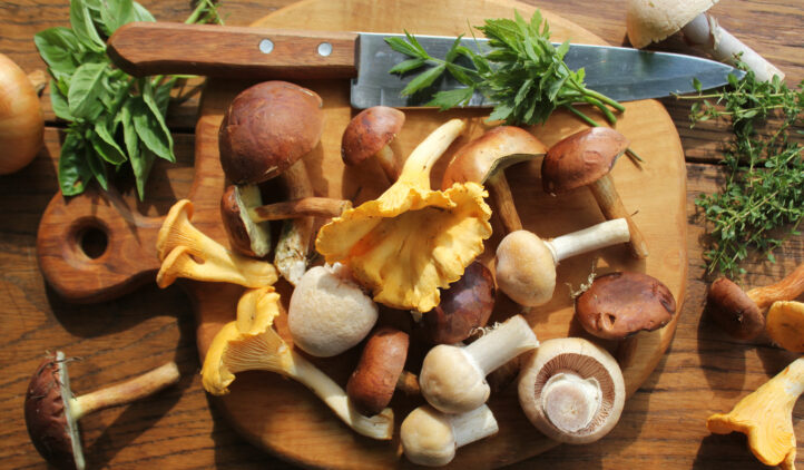 Mix of forest mushrooms on cutting board over old wooden table