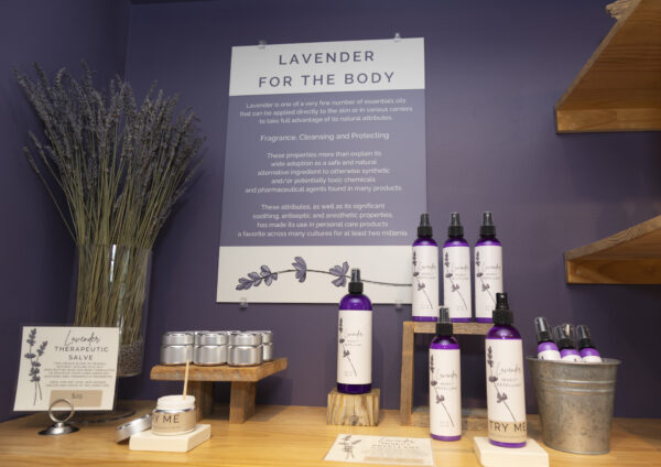 The Lavender Store
