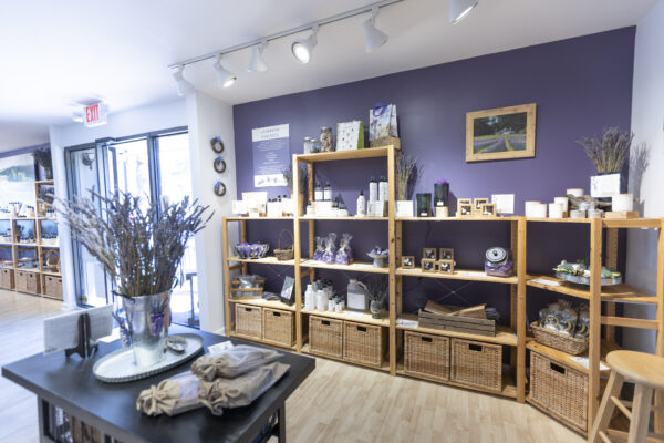The Lavender Store