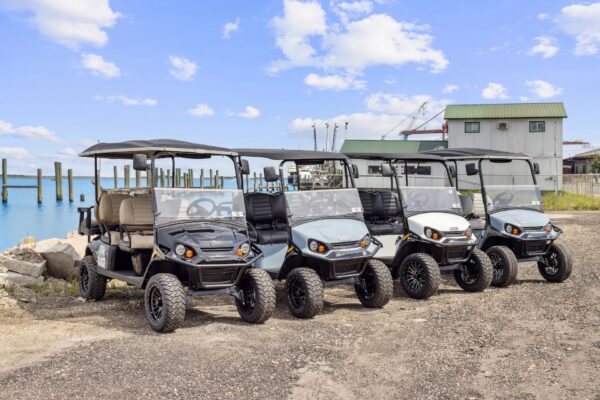 Four golf carts are parked in a row on a gravel lot near a body of water, with docks, wooden posts, and a building with a green roof in the background under a partly cloudy sky.