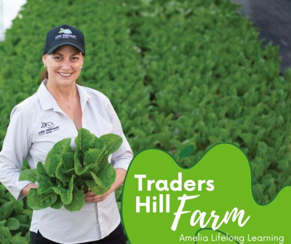 Traders Hill Farm