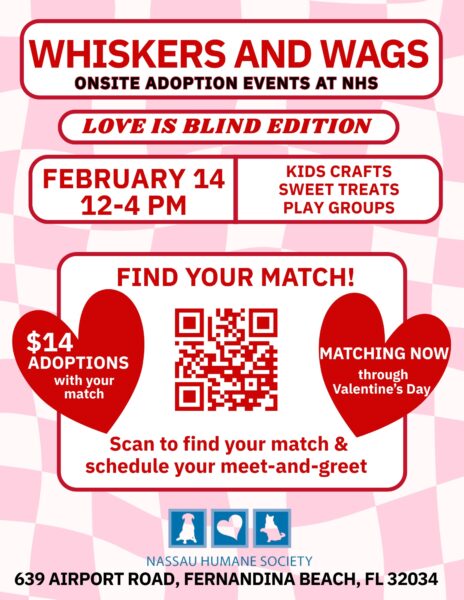 Flyer for Whiskers and Wags: Love is Blind Edition pet adoption event on February 14, 12-4 PM, at Nassau Humane Society, with $14 adoptions, activities, and a QR code to find your pet match.