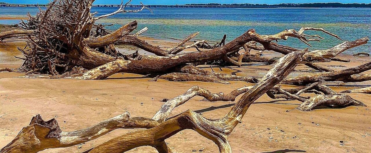 Boneyard Beach shoreline