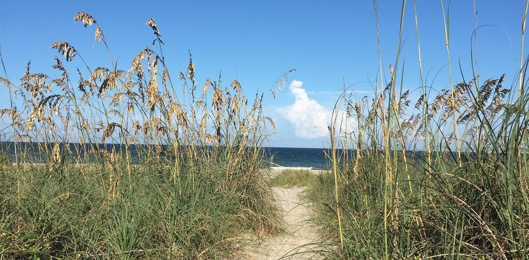 beach walk open ocean