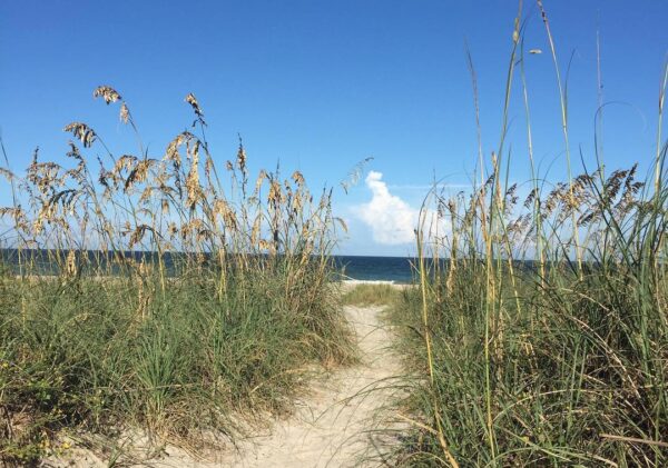 beach walk open ocean