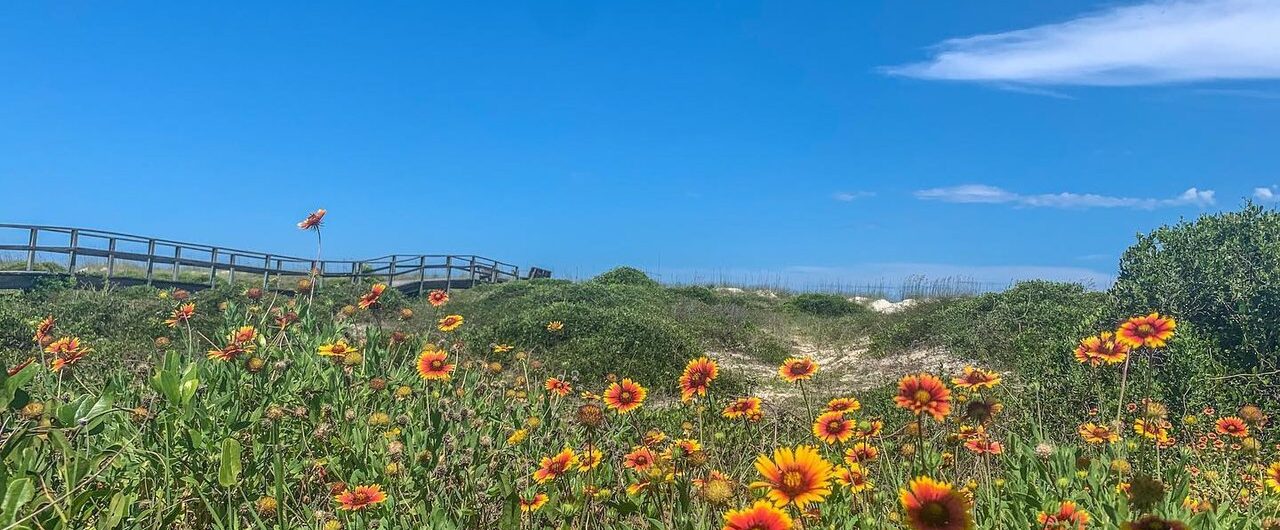 flowers on Amelia Island