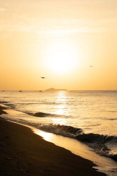 Enjoy the dawn from the beach's shore.