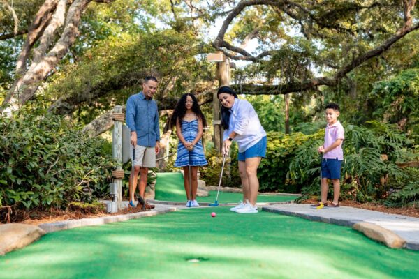 Heron's Cove Adventure Golf at Omni Amelia Island